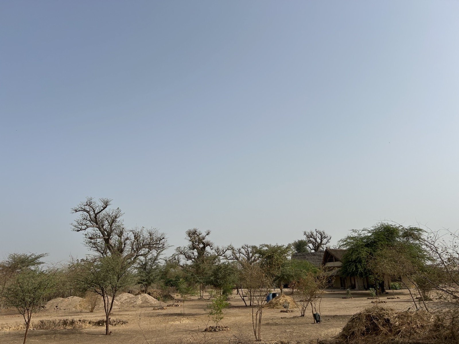 Paysage de Thiafoura en saison sèche